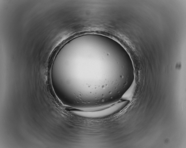 X0000098211165200805011204