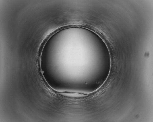 X0000098211168200805011204