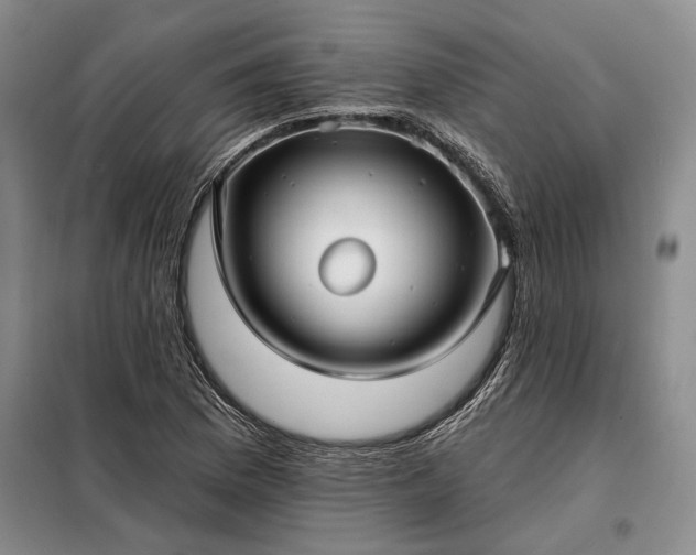 X0000098211169200805011204