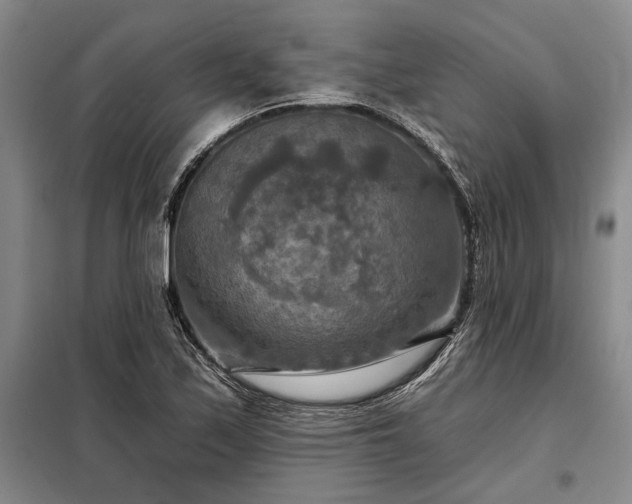 X0000098211171200805011204