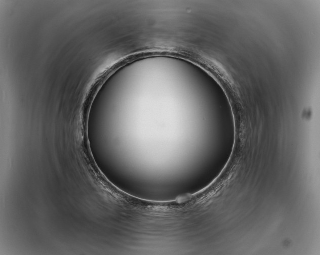 X0000098211172200805011204