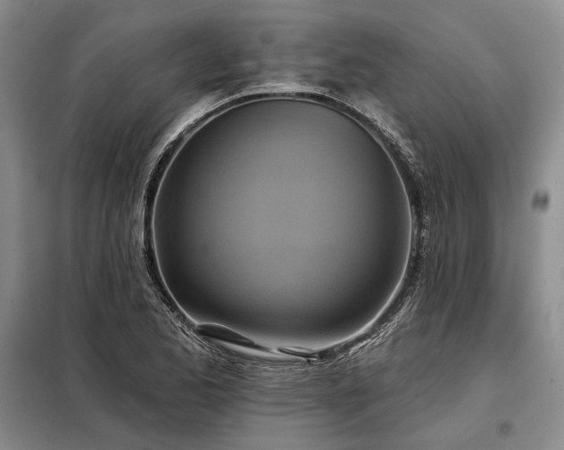 X0000098211173200805011204