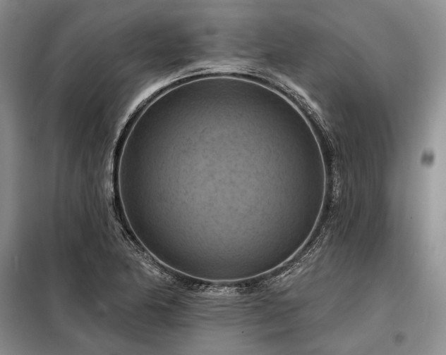 X0000098211174200805011204
