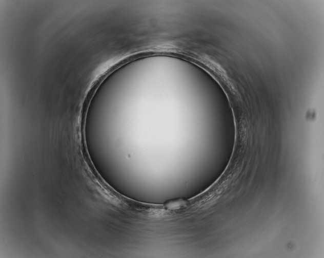 X0000098211176200805011204