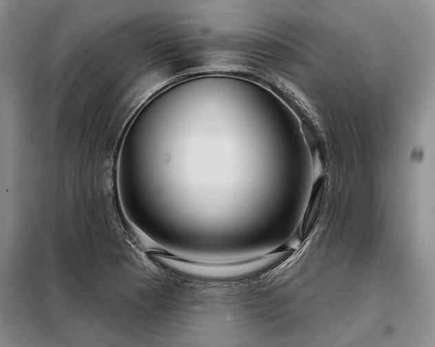 X0000098211177200805011204