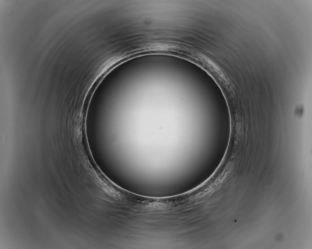X0000098211178200805011204