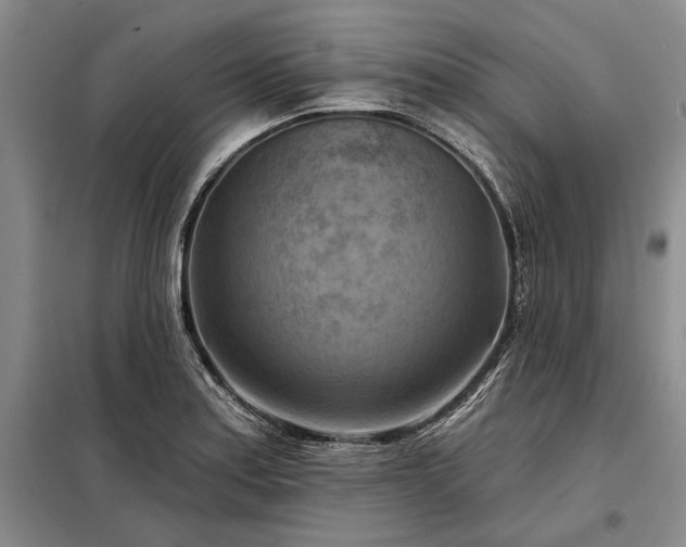 X0000098211179200805011204