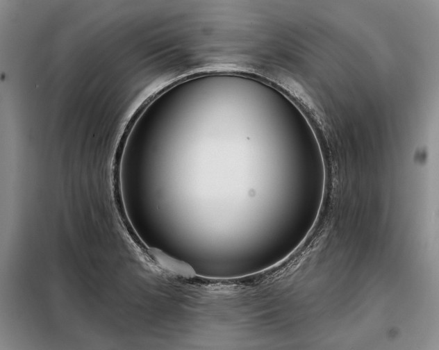 X0000098211181200805011203