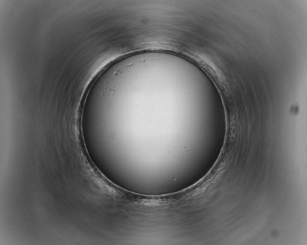 X0000098211182200805011203
