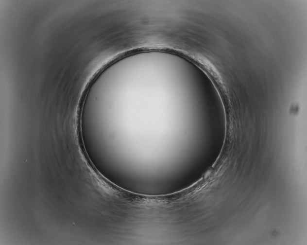 X0000098211183200805011203