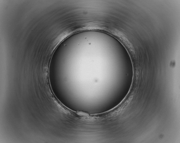 X0000098211185200805011203