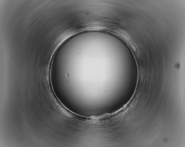 X0000098211186200805011203