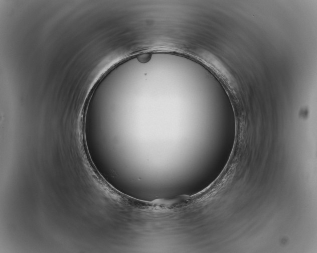 X0000098211190200805011203