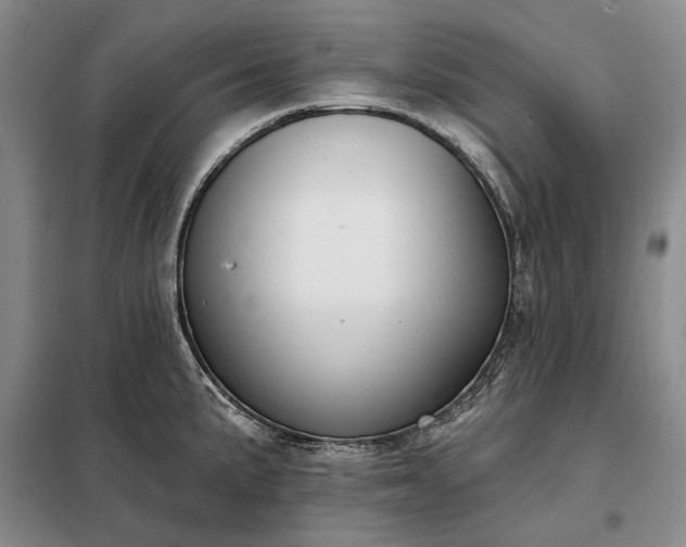 X0000098211191200805011203