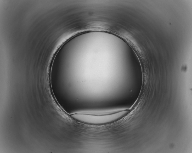 X0000098211192200805011203