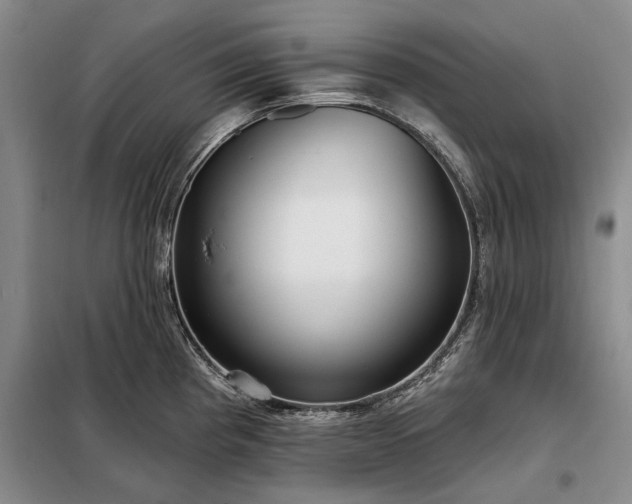 X0000098211193200805011203