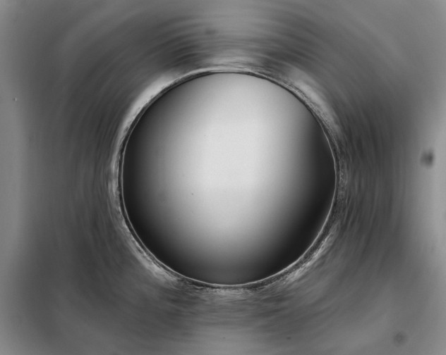 X0000098211196200805011203