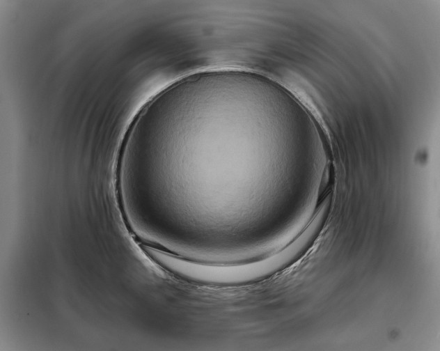 X0000098211197200805011203