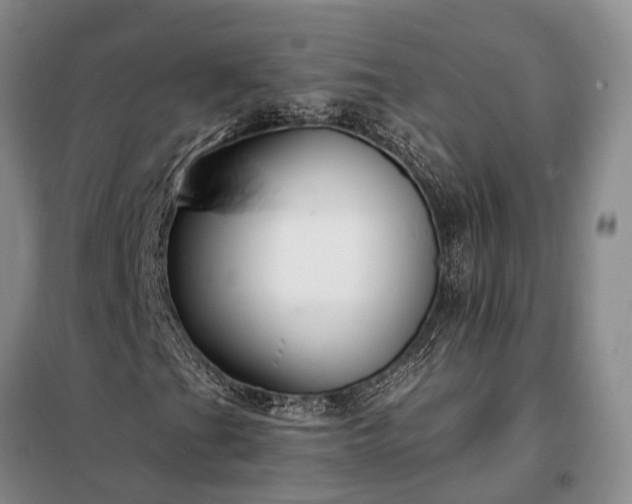 X0000098211201200805011202