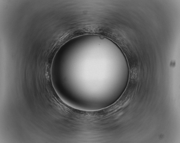 X0000098211202200805011202