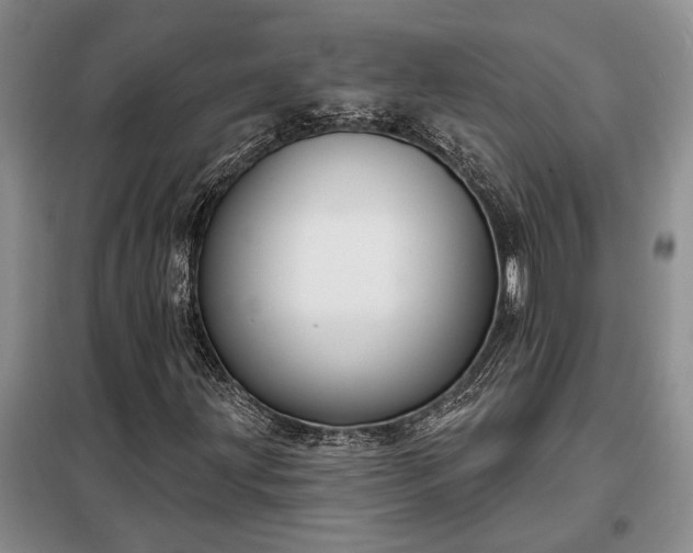 X0000098211203200805011202