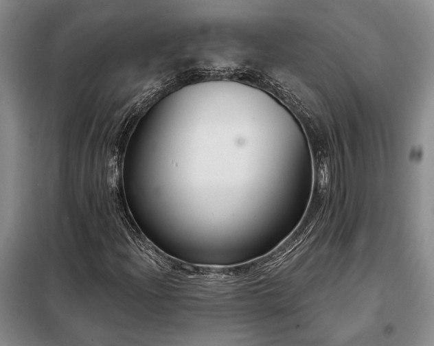 X0000098211204200805011202