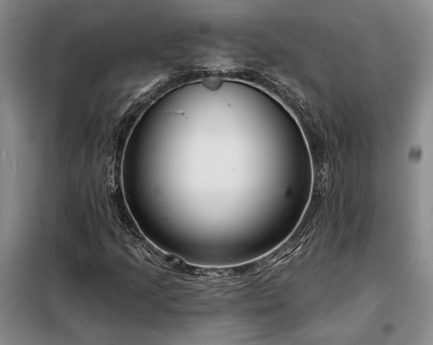 X0000098211205200805011202