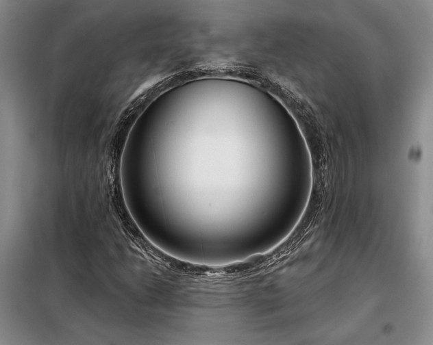 X0000098211206200805011202