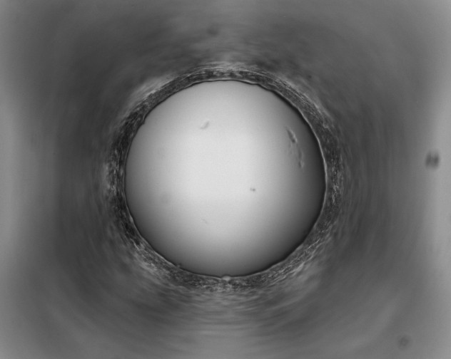 X0000098211207200805011202