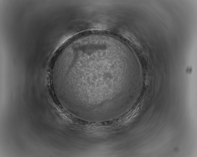 X0000098211208200805011203