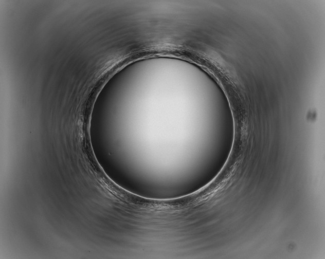 X0000098211209200805011203