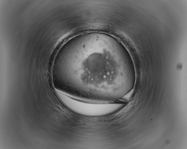 X0000098211210200805011203