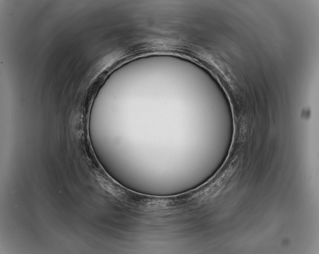X0000098211211200805011203