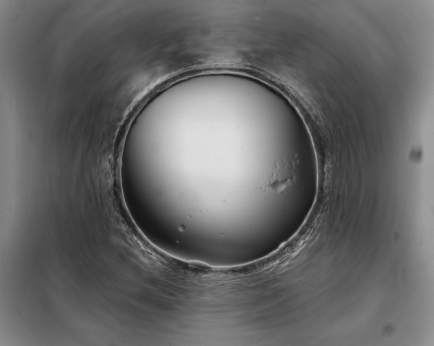 X0000098211212200805011203