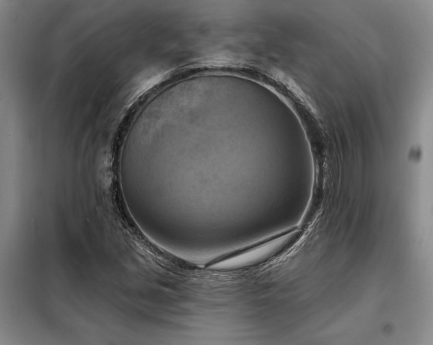 X0000098211213200805011203