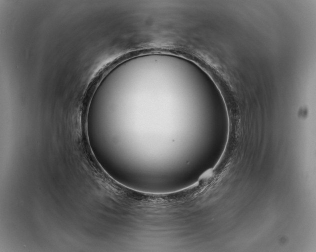 X0000098211214200805011203