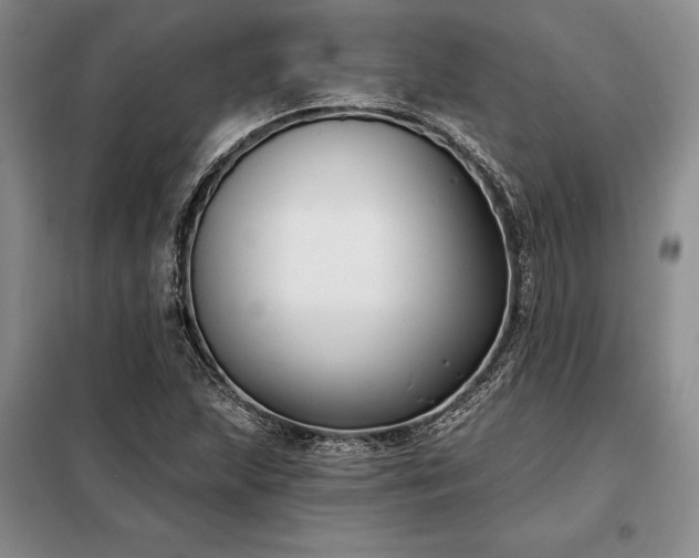 X0000098211215200805011203