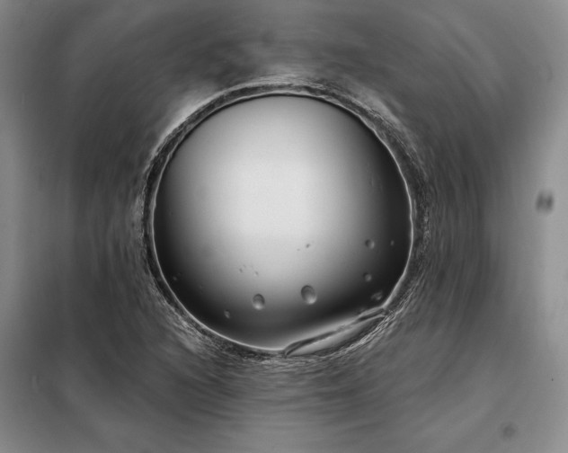 X0000098211216200805011203