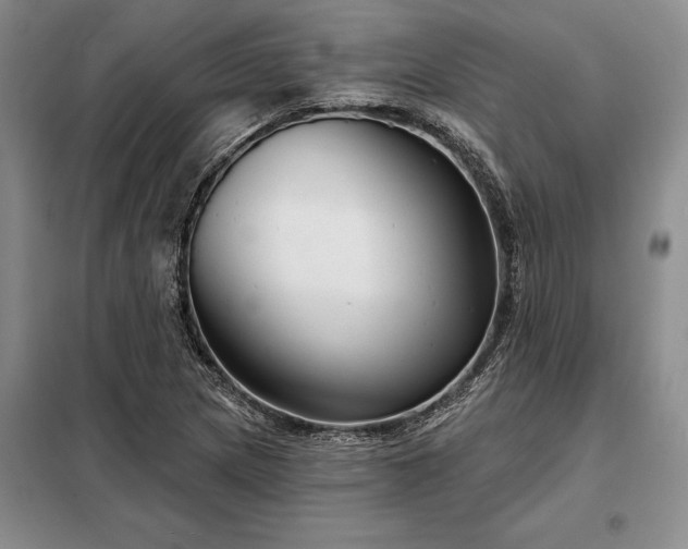 X0000098211217200805011203