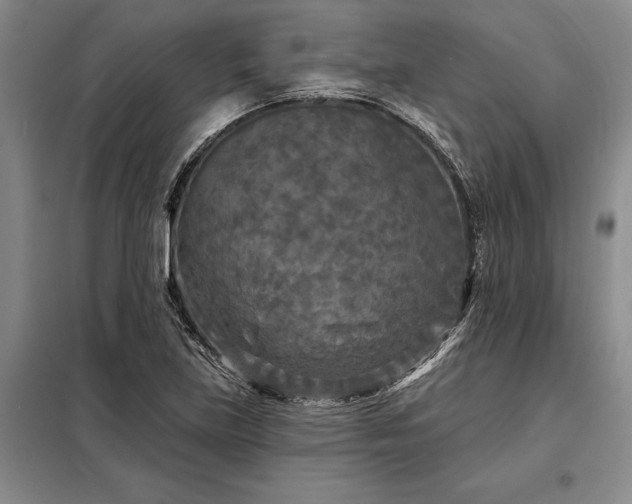 X0000098211219200805011203