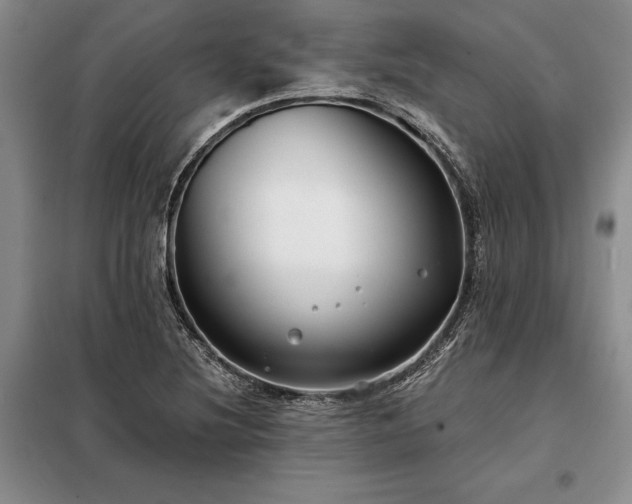 X0000098211220200805011203