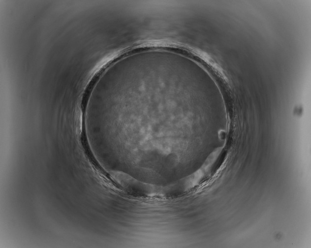 X0000098211221200805011203