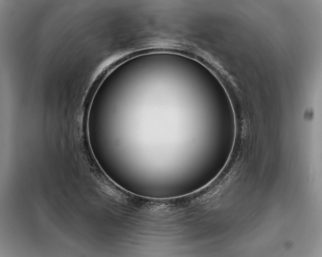 X0000098211222200805011203