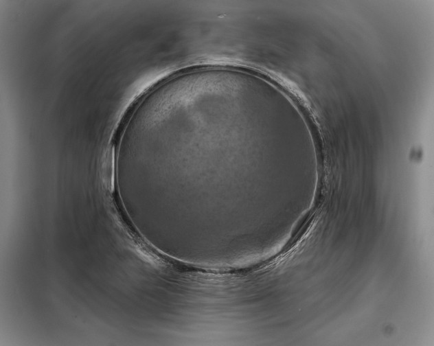 X0000098211223200805011203