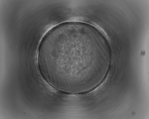 X0000098211224200805011203