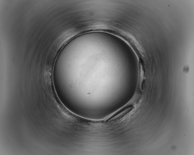 X0000098211225200805011203
