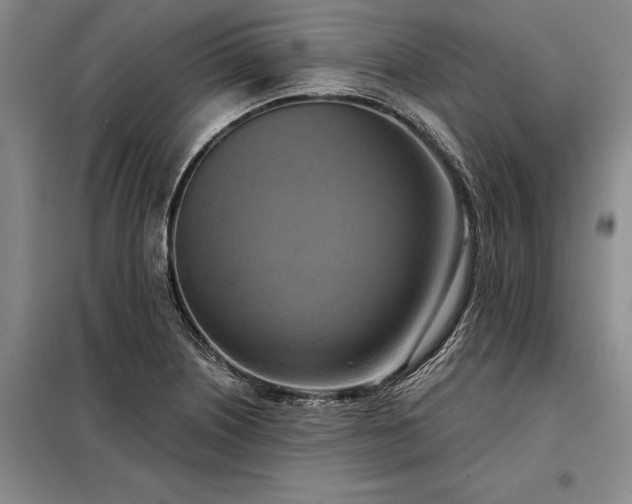 X0000098211226200805011203