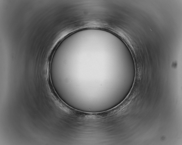X0000098211227200805011203