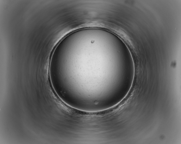 X0000098211228200805011203