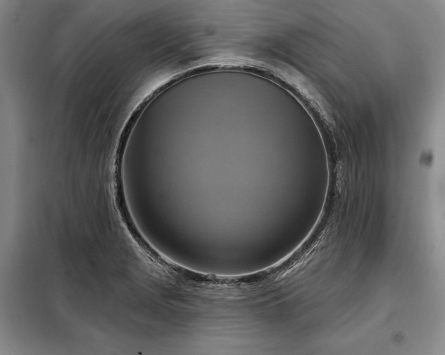 X0000098211229200805011203
